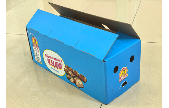CAMPIONE DI CIBO